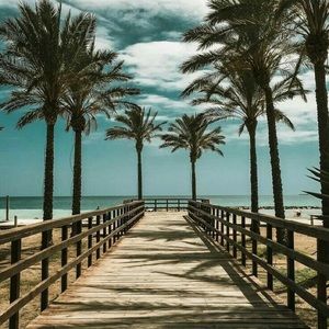 Meet your Posher, Scarlett